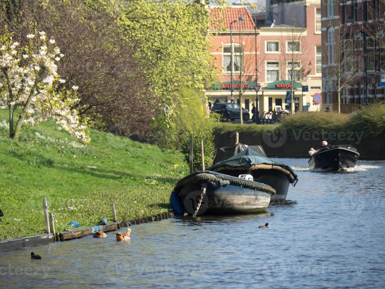 Haarlem in the Netherlands photo