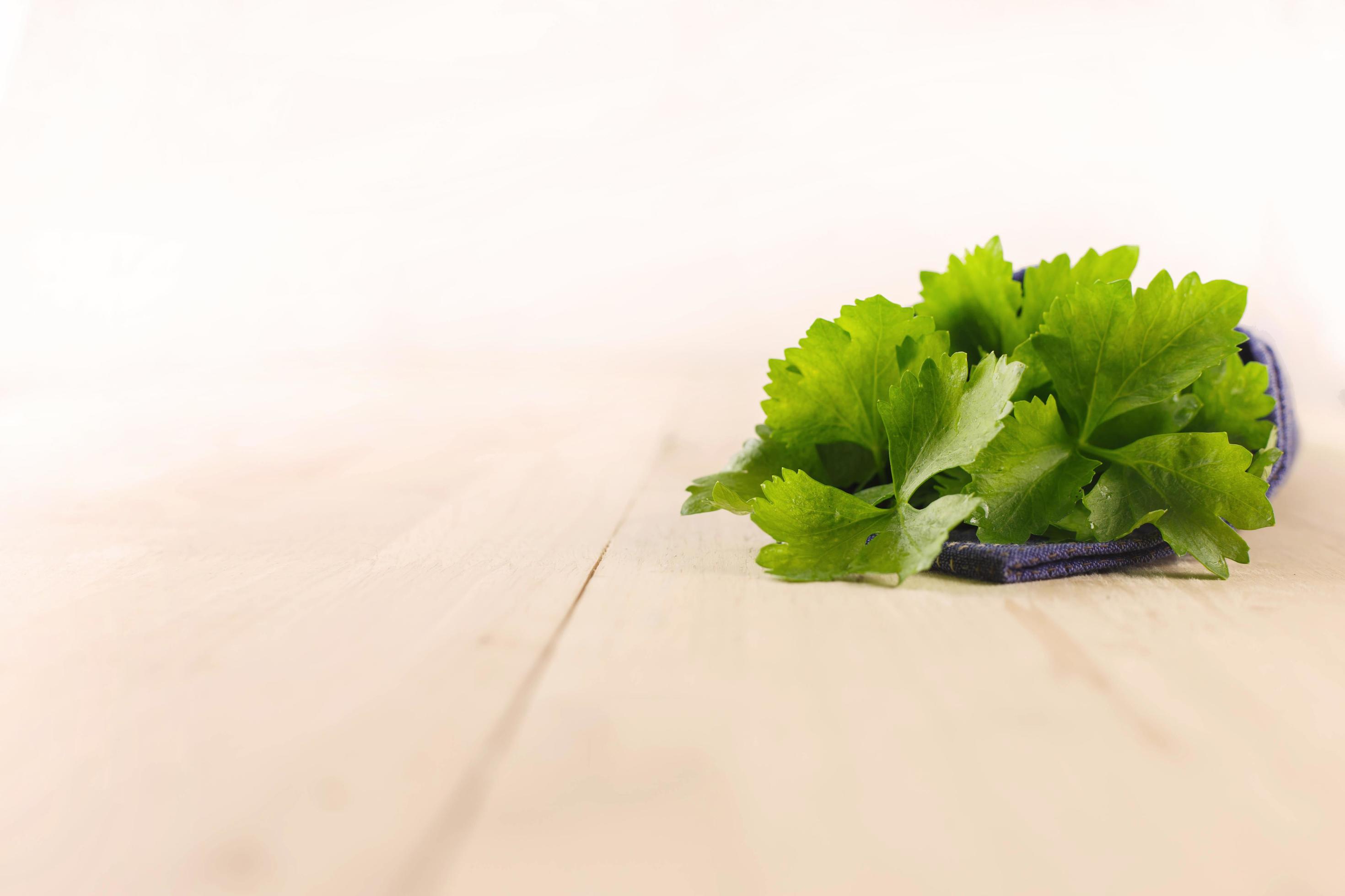 Group of celery 8117430 Stock Photo at Vecteezy