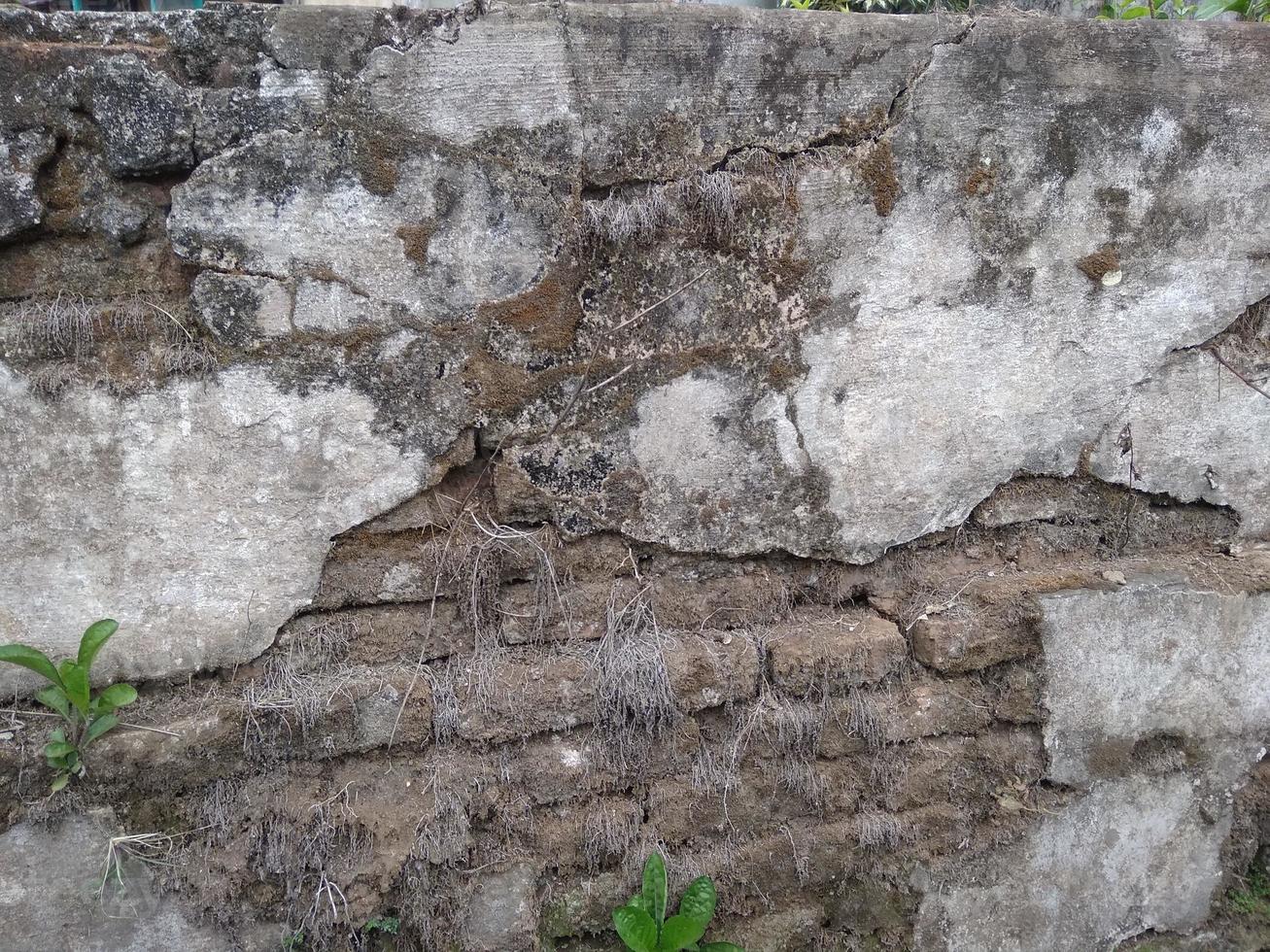 Wall brick texture old photo