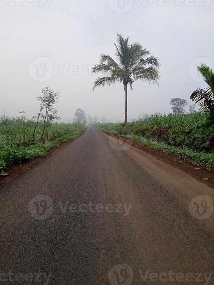 Scenic road view and fog morning photo