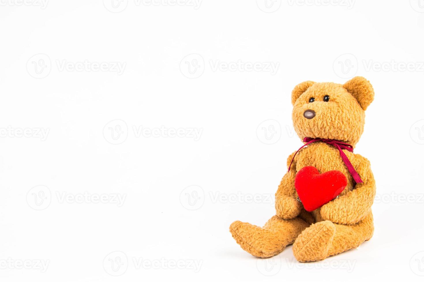 teddy bear on white background photo