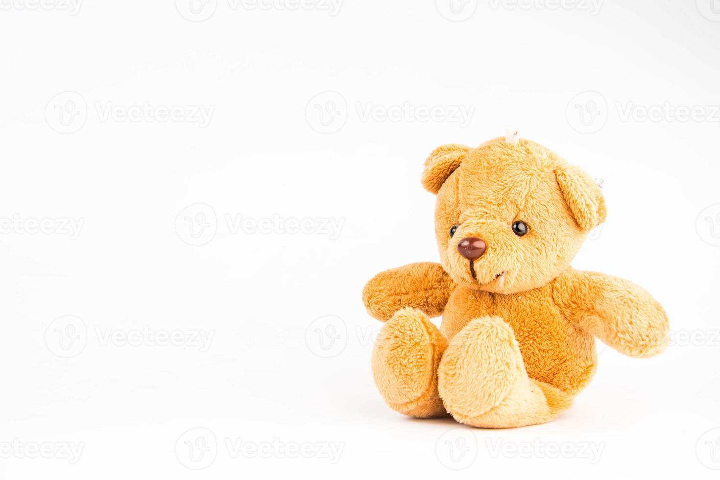 teddy bear on white background photo