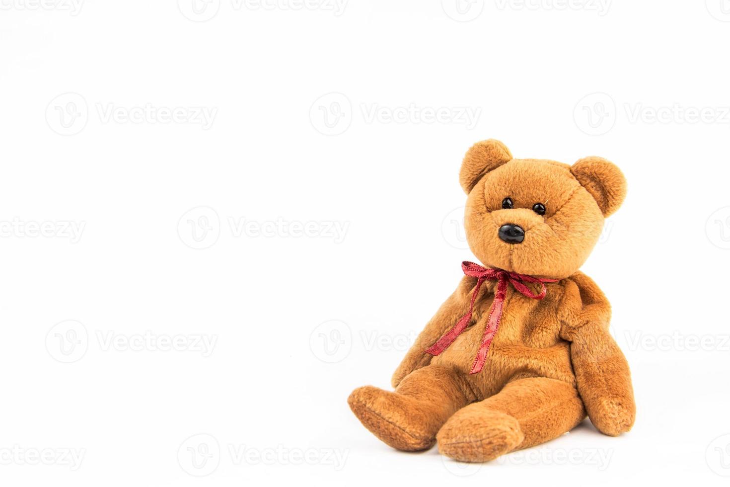 teddy bear on white background photo