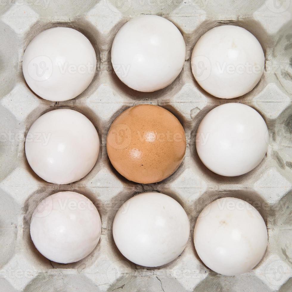 Egg in an egg crate on white background photo