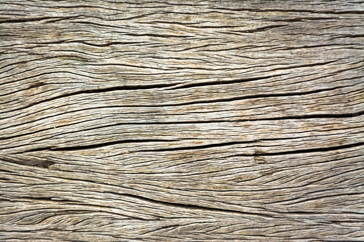 telón de fondo de pared de madera para el fondo foto