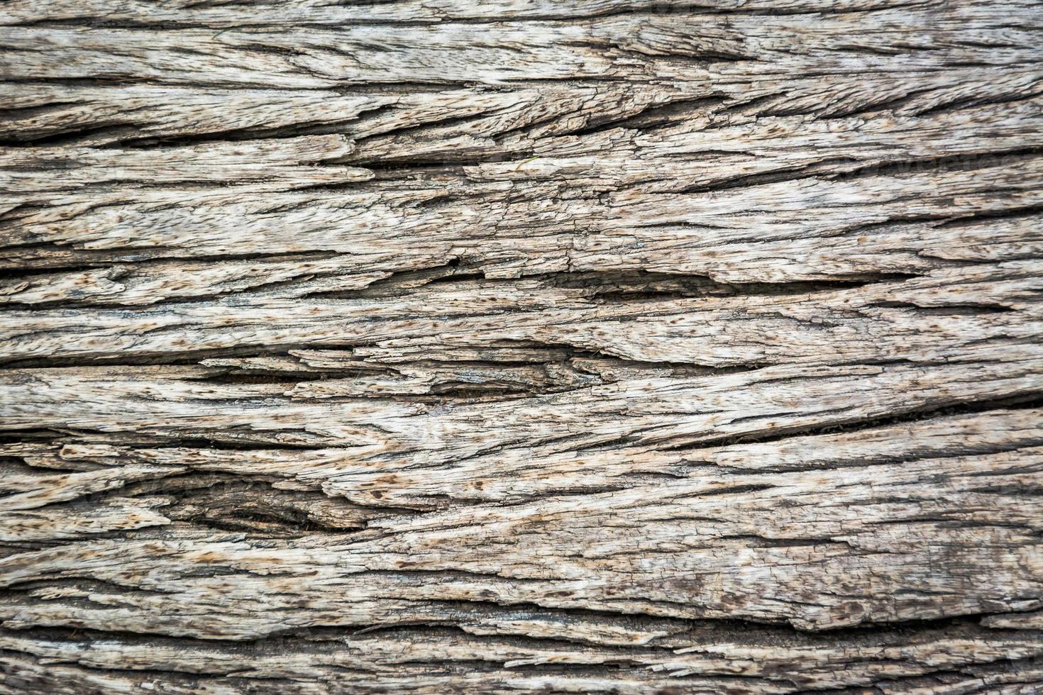 telón de fondo de pared de madera para el fondo foto