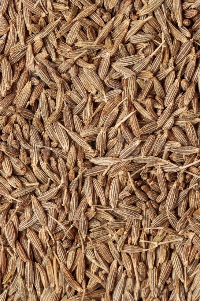 Extreme close up shot of Cumin seeds 8119139 Stock Photo at Vecteezy