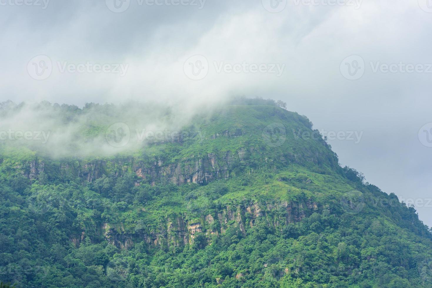 mountains with clouds in a tropical forest photo