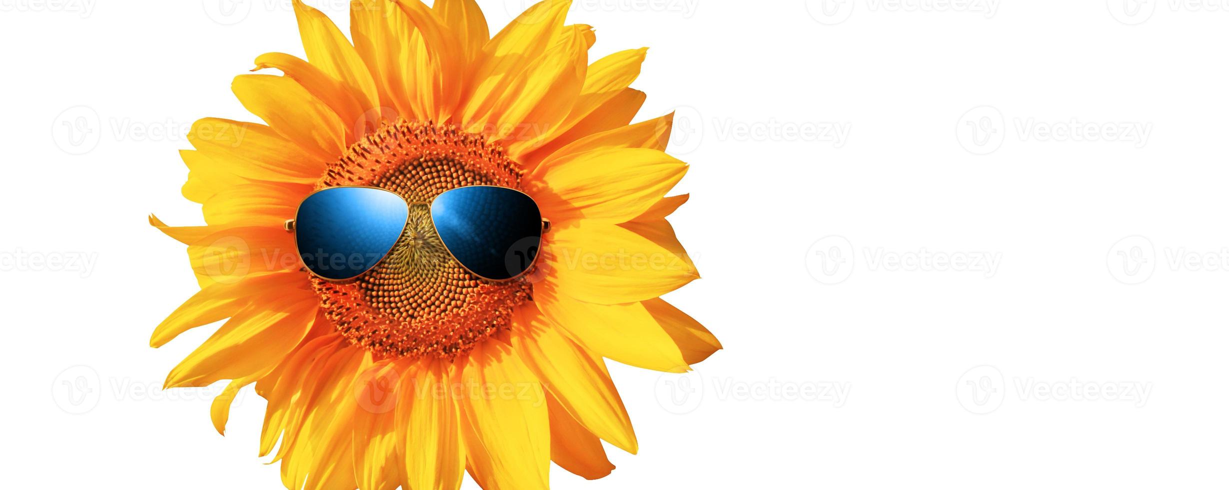 girasol divertido con gafas de sol sobre un fondo blanco foto