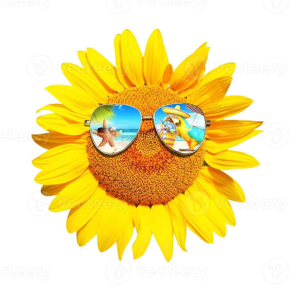 Funny sunflower with sunglasses on a white background photo