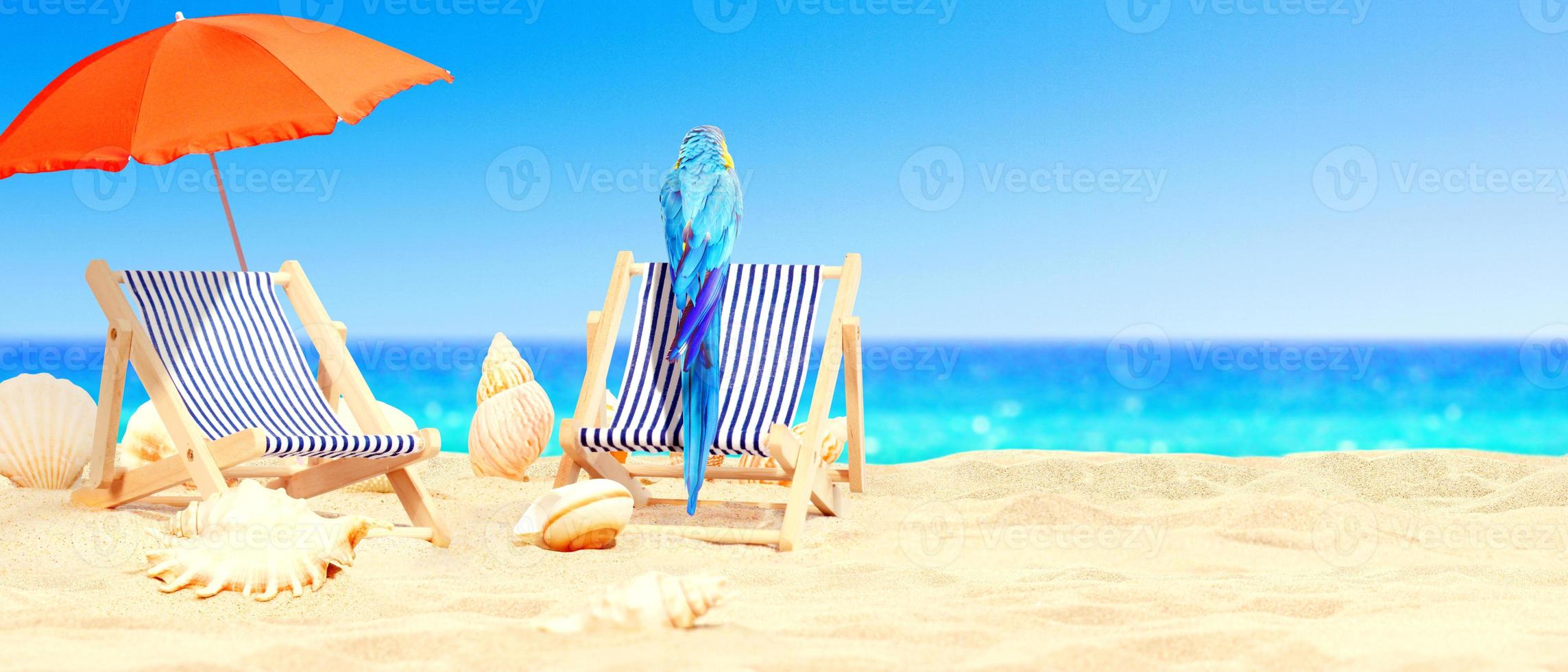 Parrot on tropical beach in the sun on deck chairs under umbrella. photo