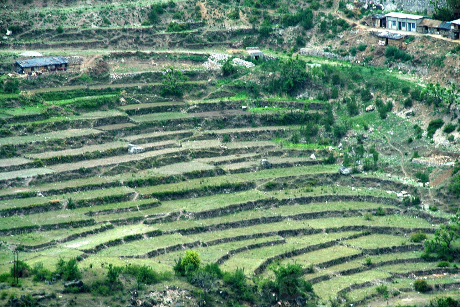 Step Cultivation in Mountain photo