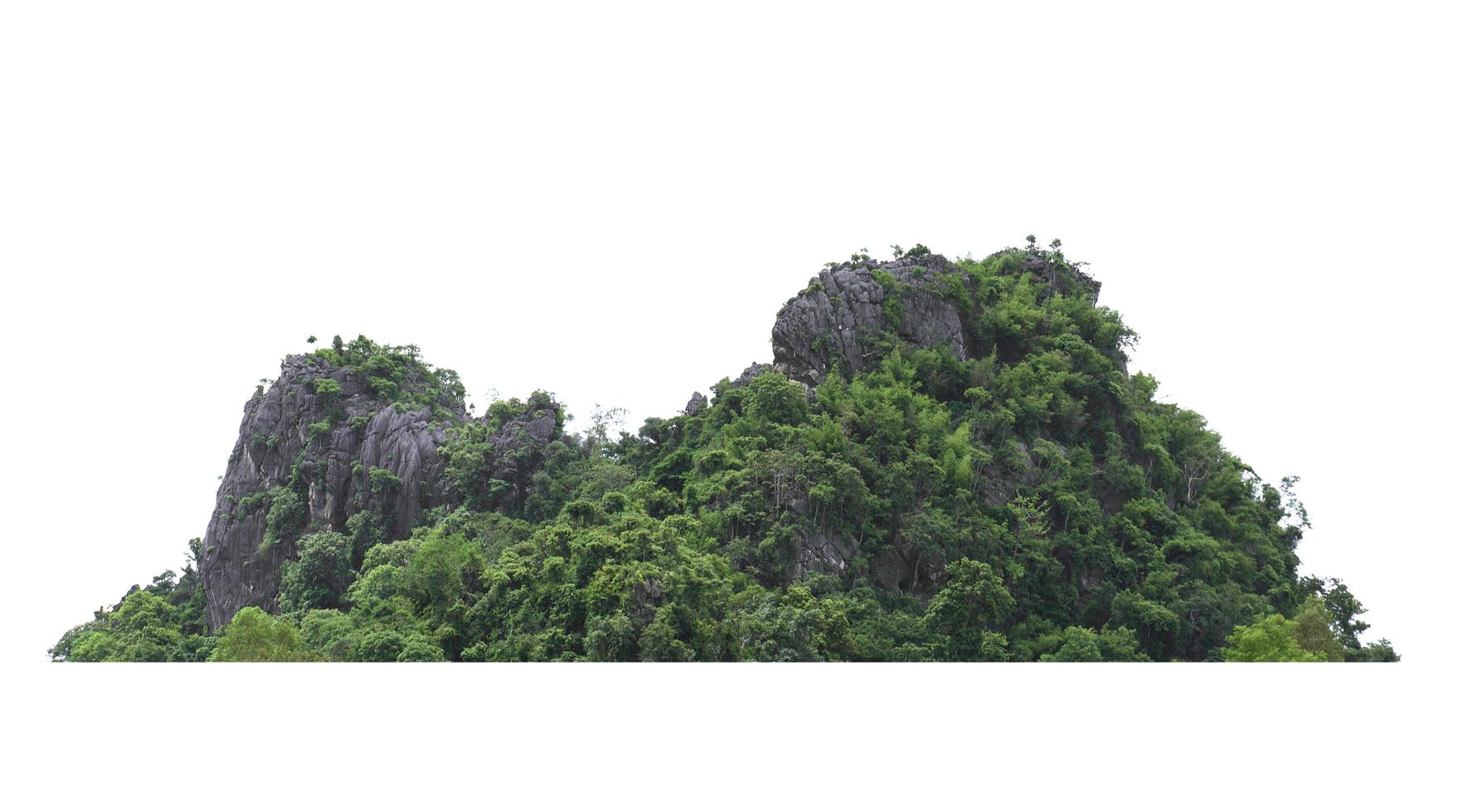 mountain rock with forest at thailand isolate on white background photo