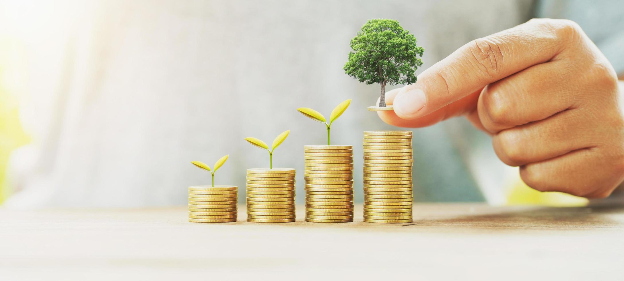 businessman putting money stack with tree growing on table concept saving finance and accounting photo