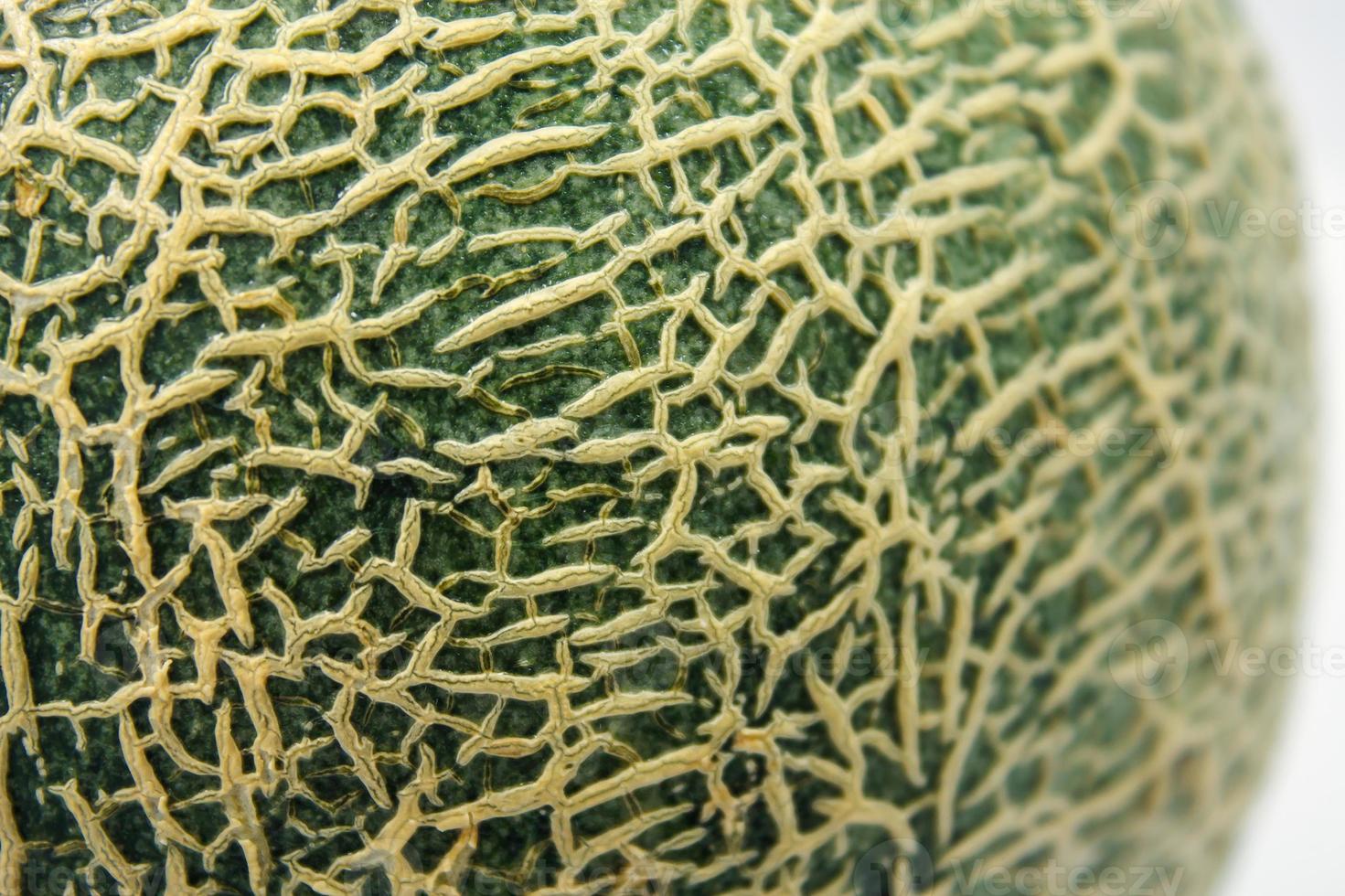 Close up of cantaloupe melon peel photo