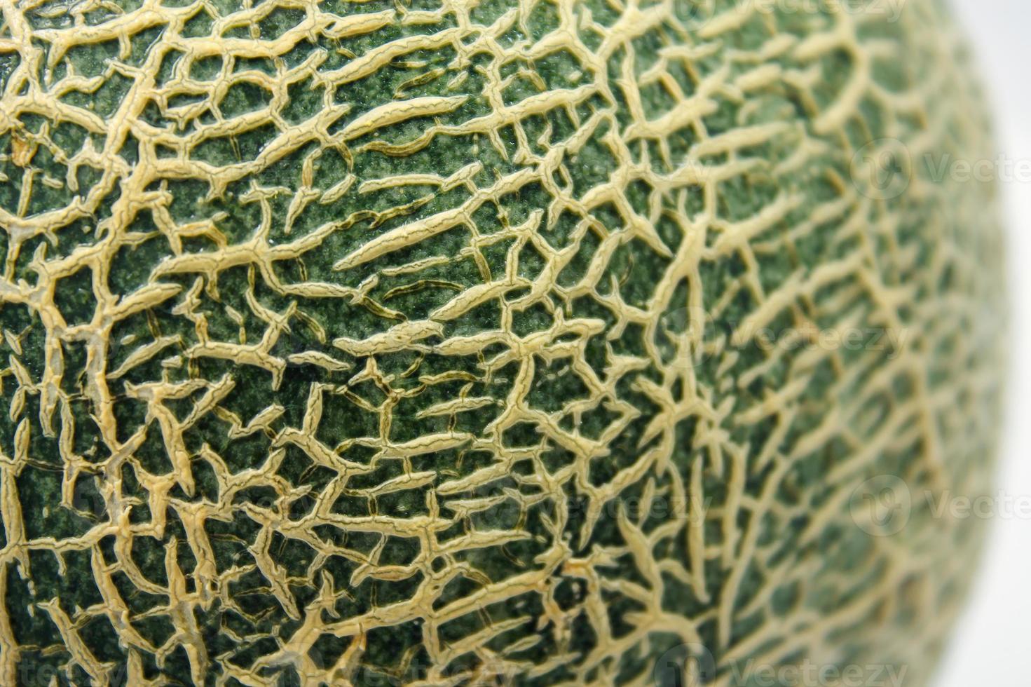 Cerca de cáscara de melón melón foto