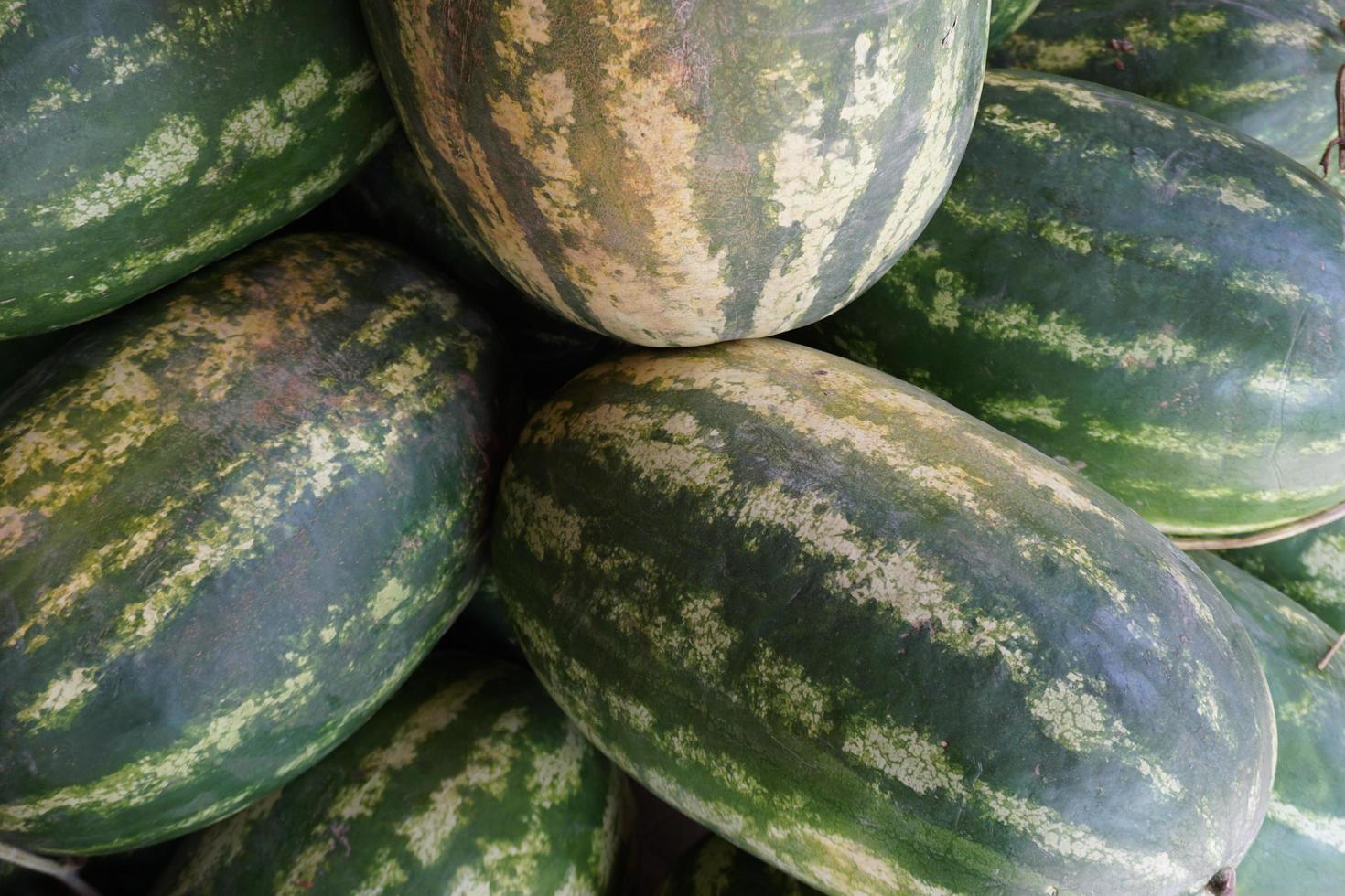 el patrón de melón de agua dulce foto