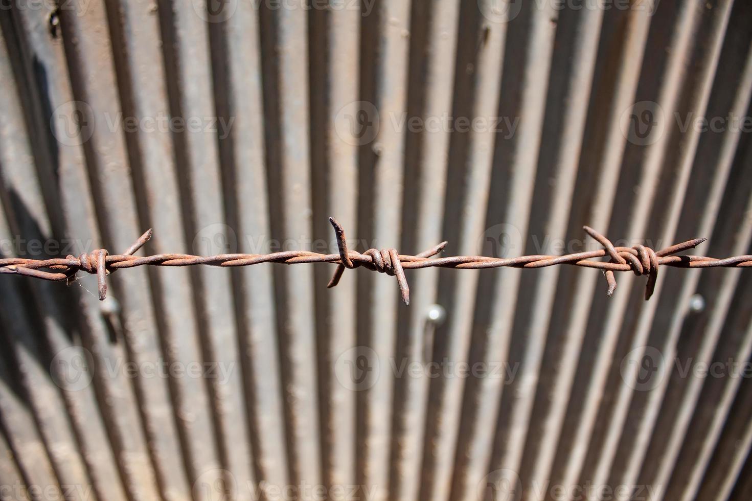 Rusty barbed wire photo