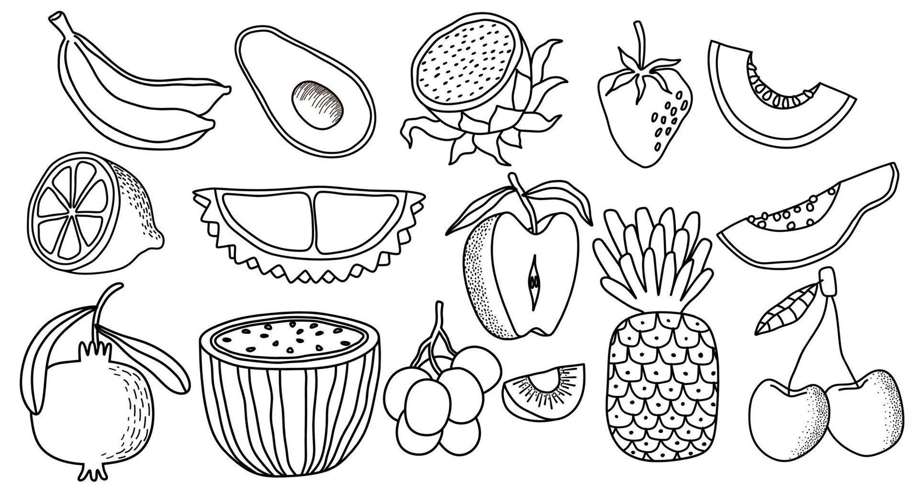 fresh fruit doodle vector set. vector illustration