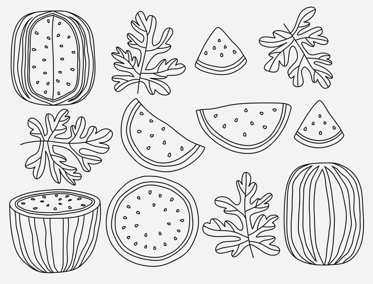 set of whole and slices watermelon fruit isolated. vector