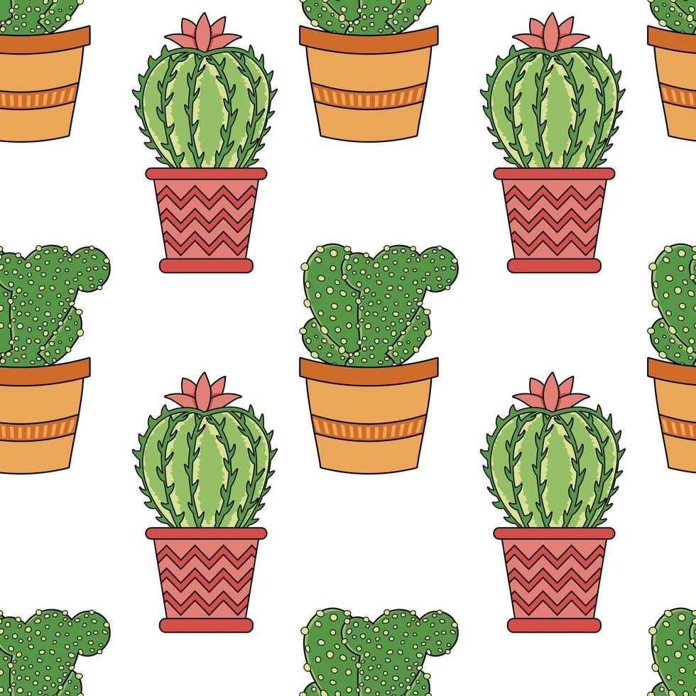 Seamless pattern with home plants cacti succulents in pots vector