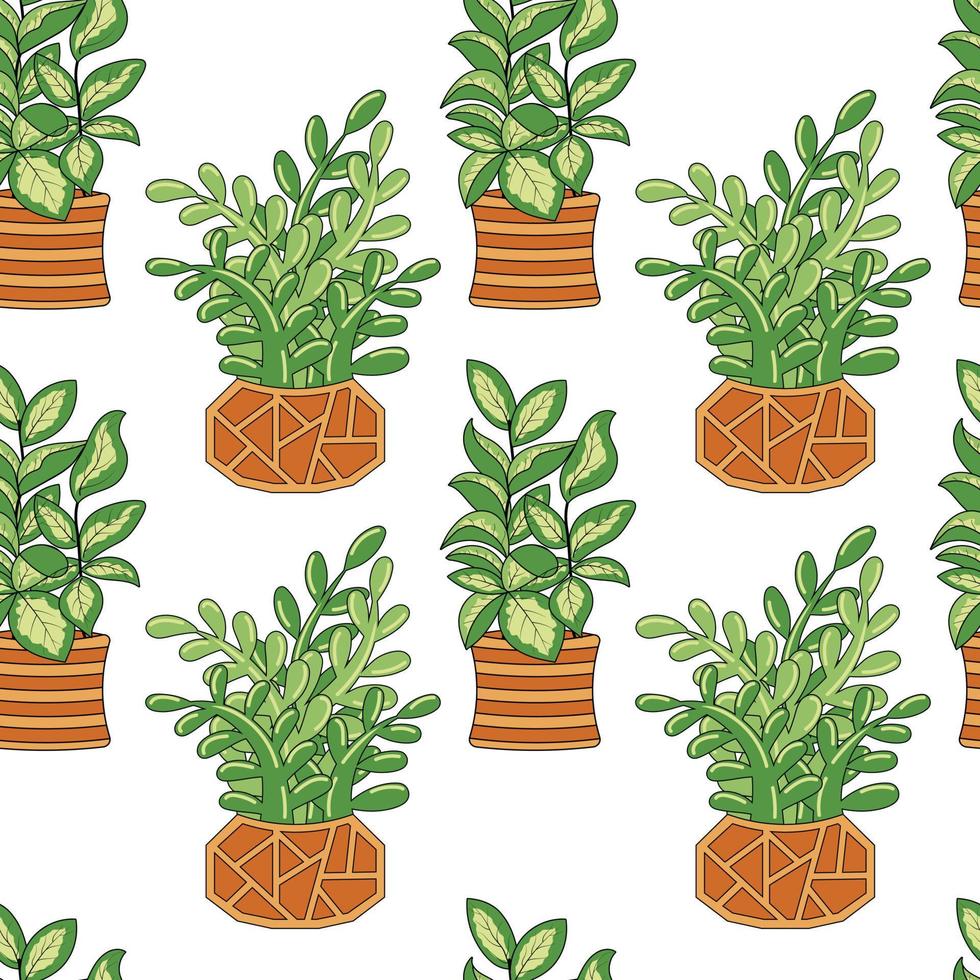 Seamless pattern with home plants ficus, chlorophytum and succulents in pots vector
