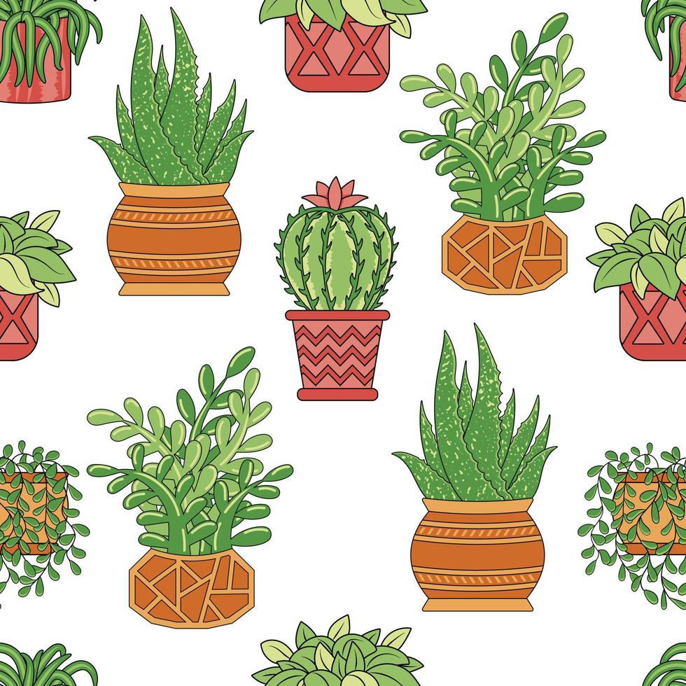 Seamless pattern with home plants ficus, chlorophytum, cacti and succulents aloe in pots vector