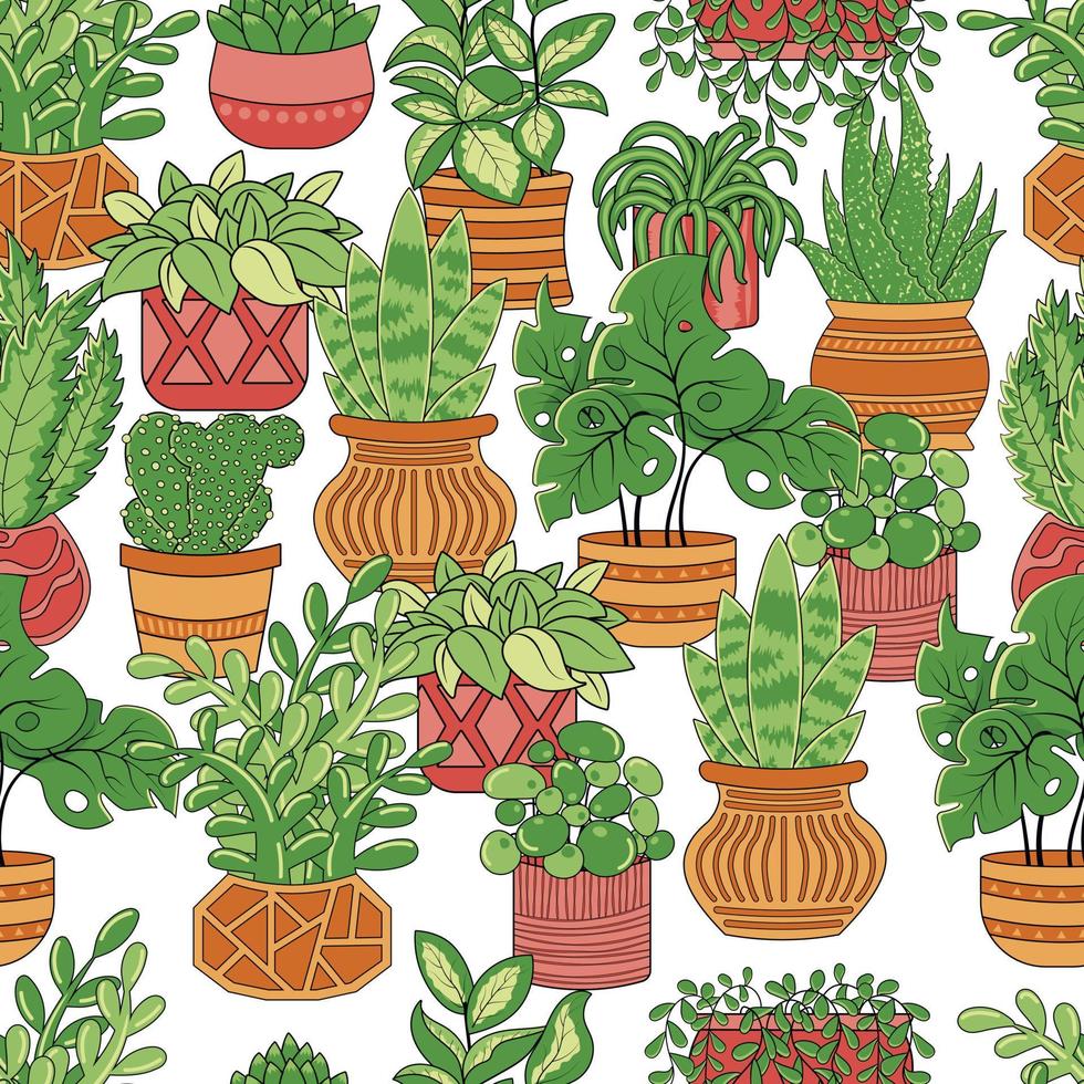 Seamless pattern with home plants ficus, cacti, chlorophytum and succulents aloe in pots vector