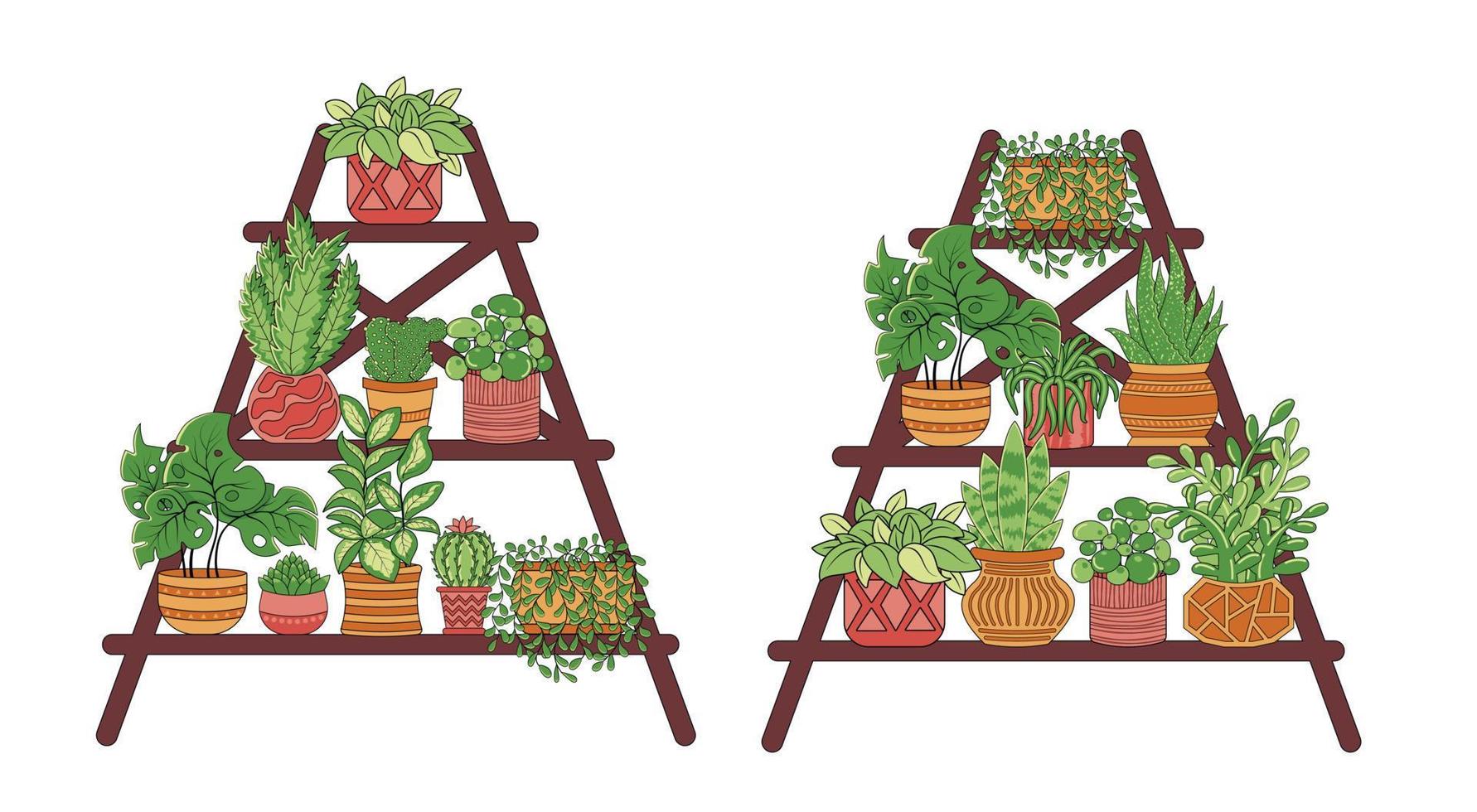 Set of wooden folding ladder used as shelves for potted houseplants vector