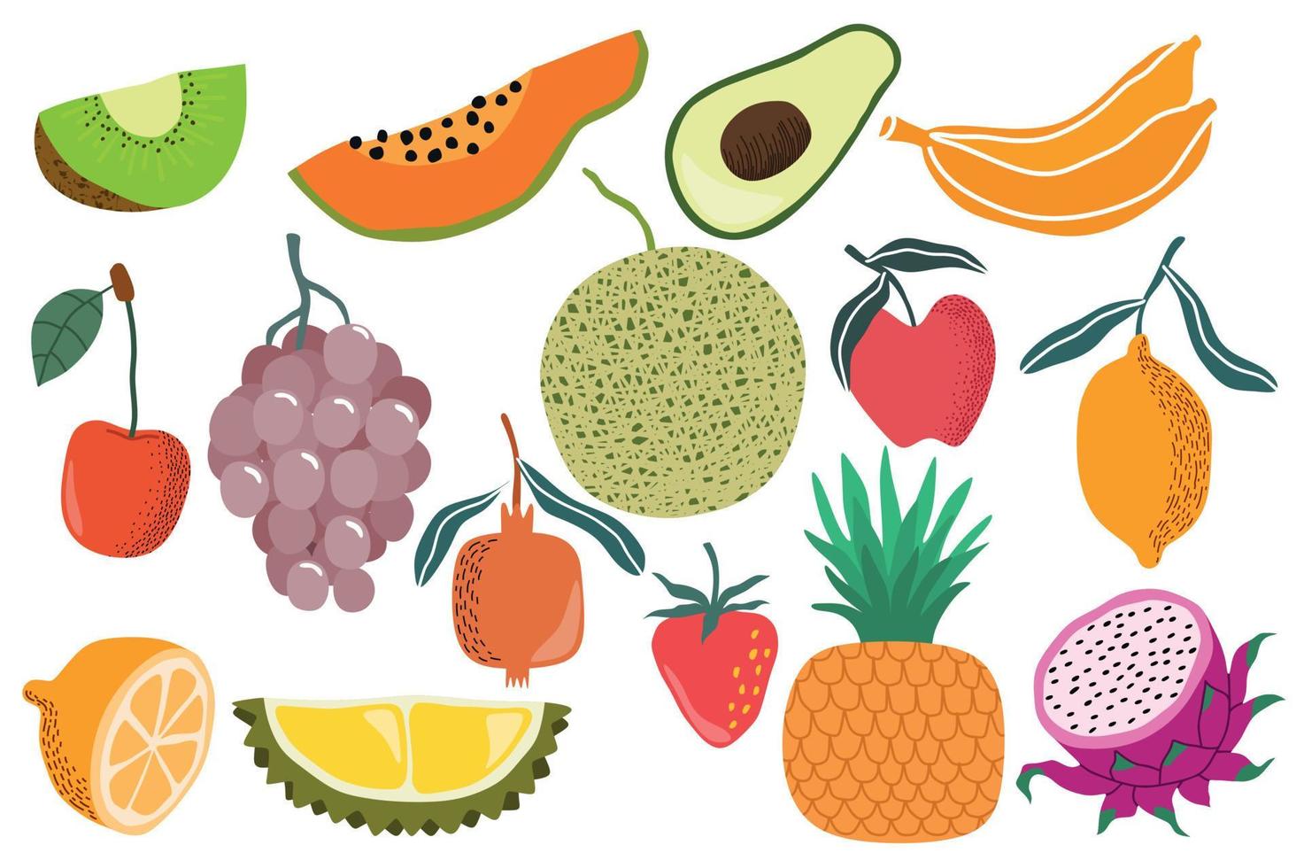 fresh fruit hand draw vector set. vector illustration