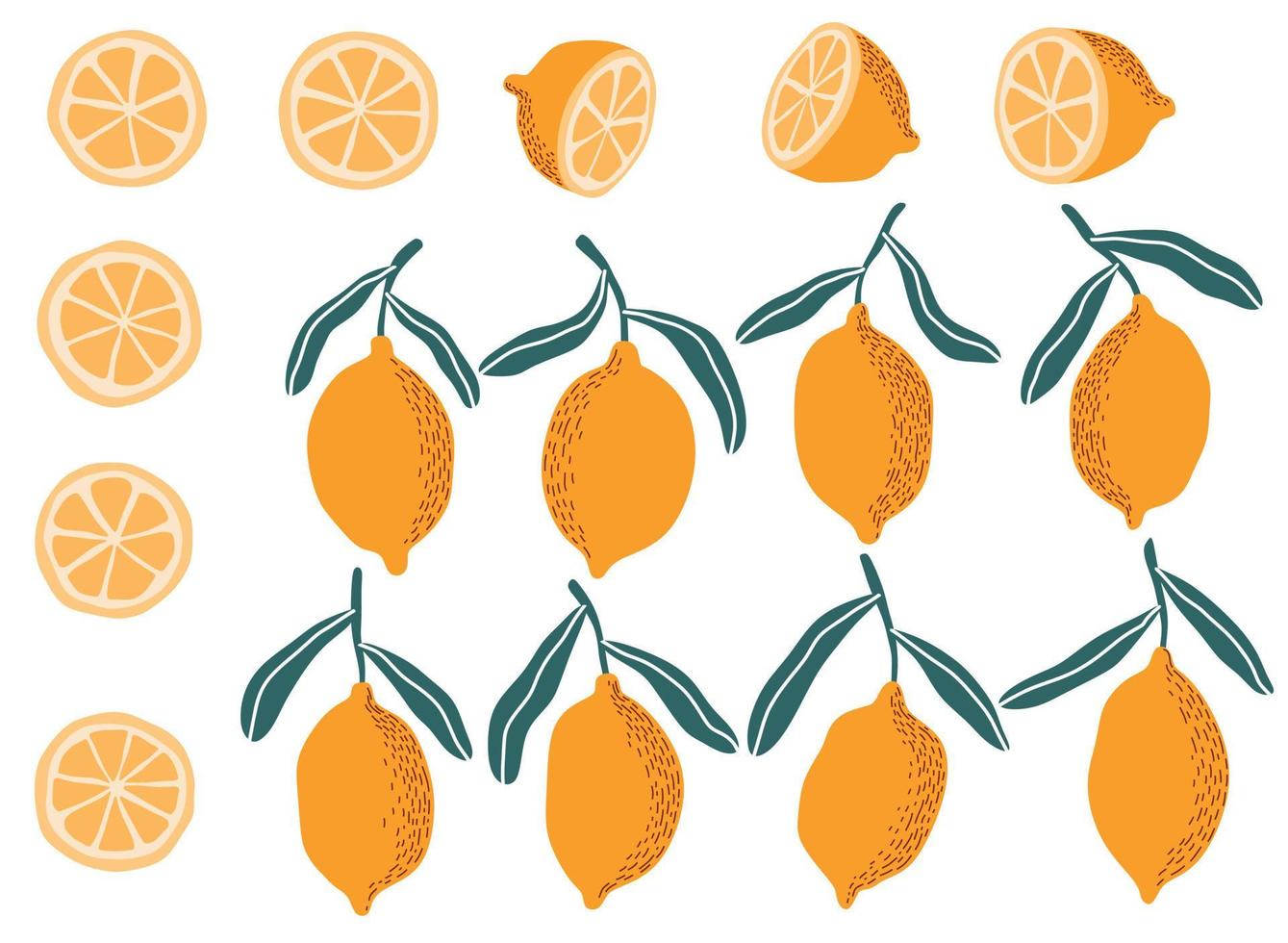 Fresh lemons print. Hand drawn line lemon illustration. vector