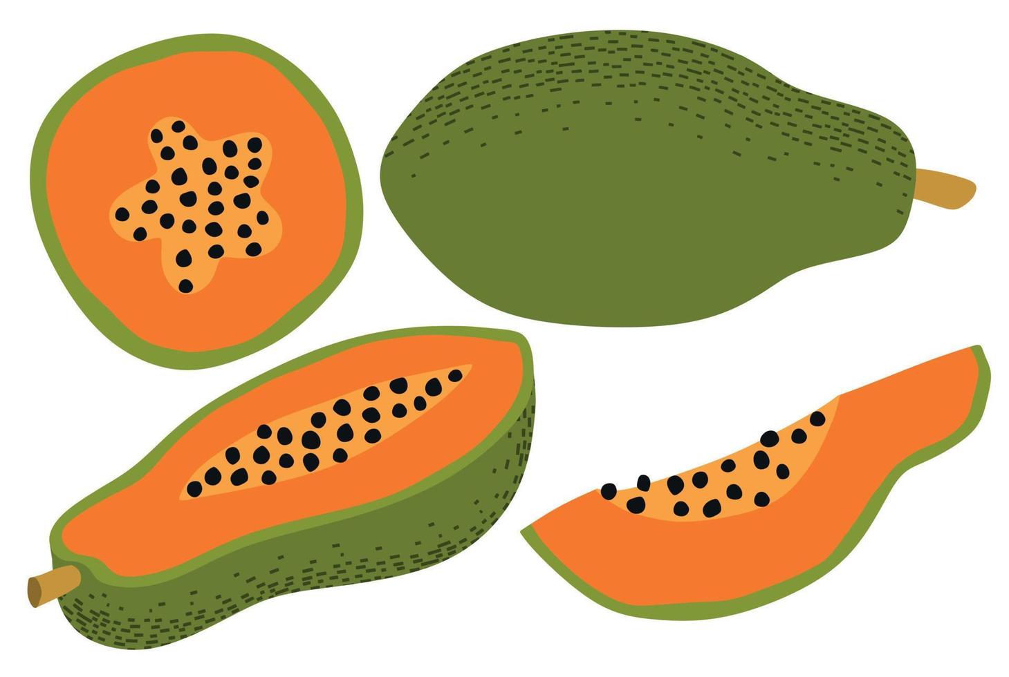 conjunto de vectores de ilustración de vector de papaya fresca dibujada a mano