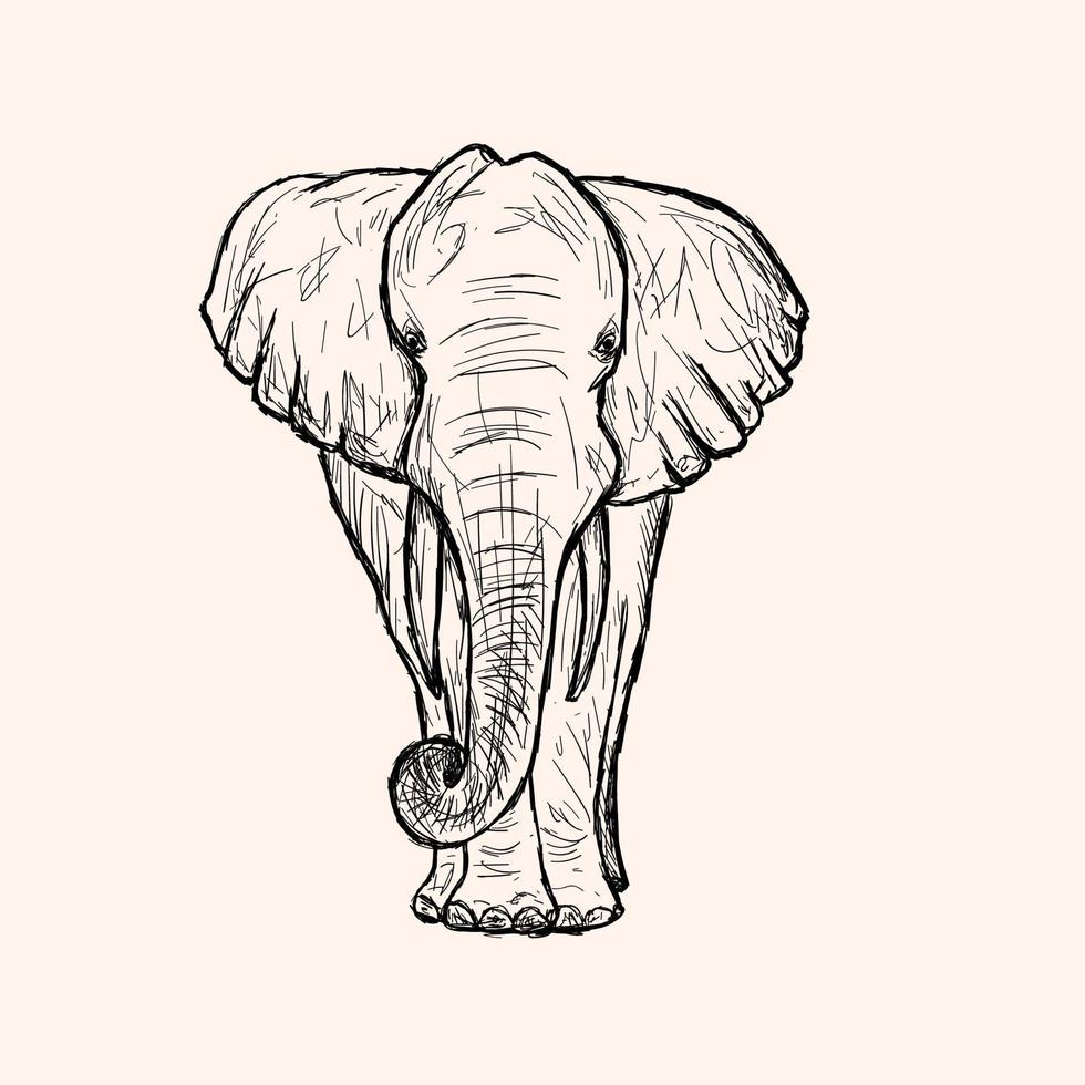 Elephant sketch drawn by hand vector