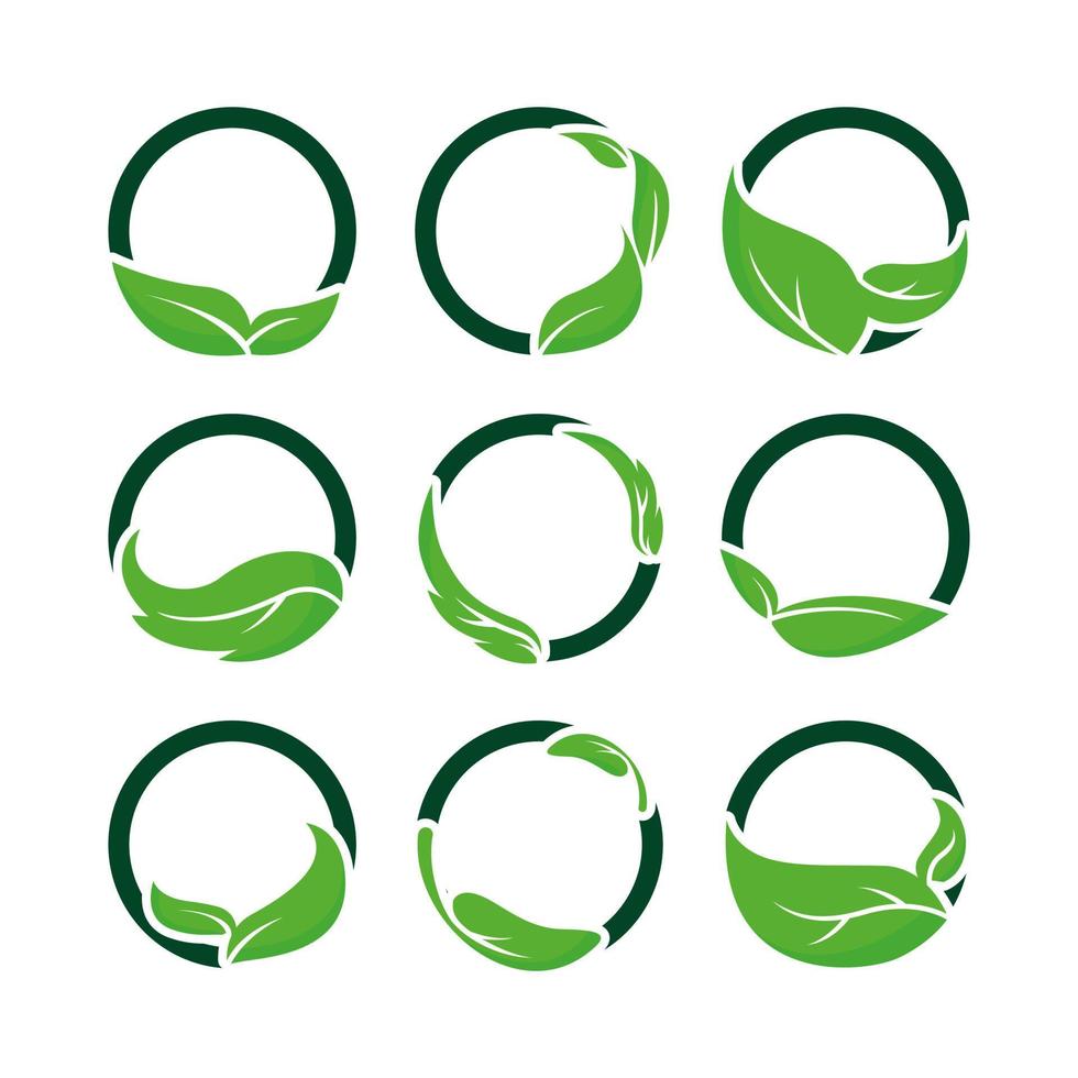 Green leaf logo with circle and nature collection vector