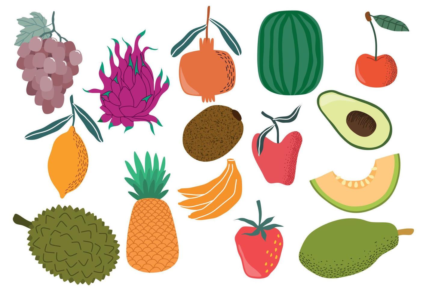 fresh fruit hand draw vector set. vector illustration