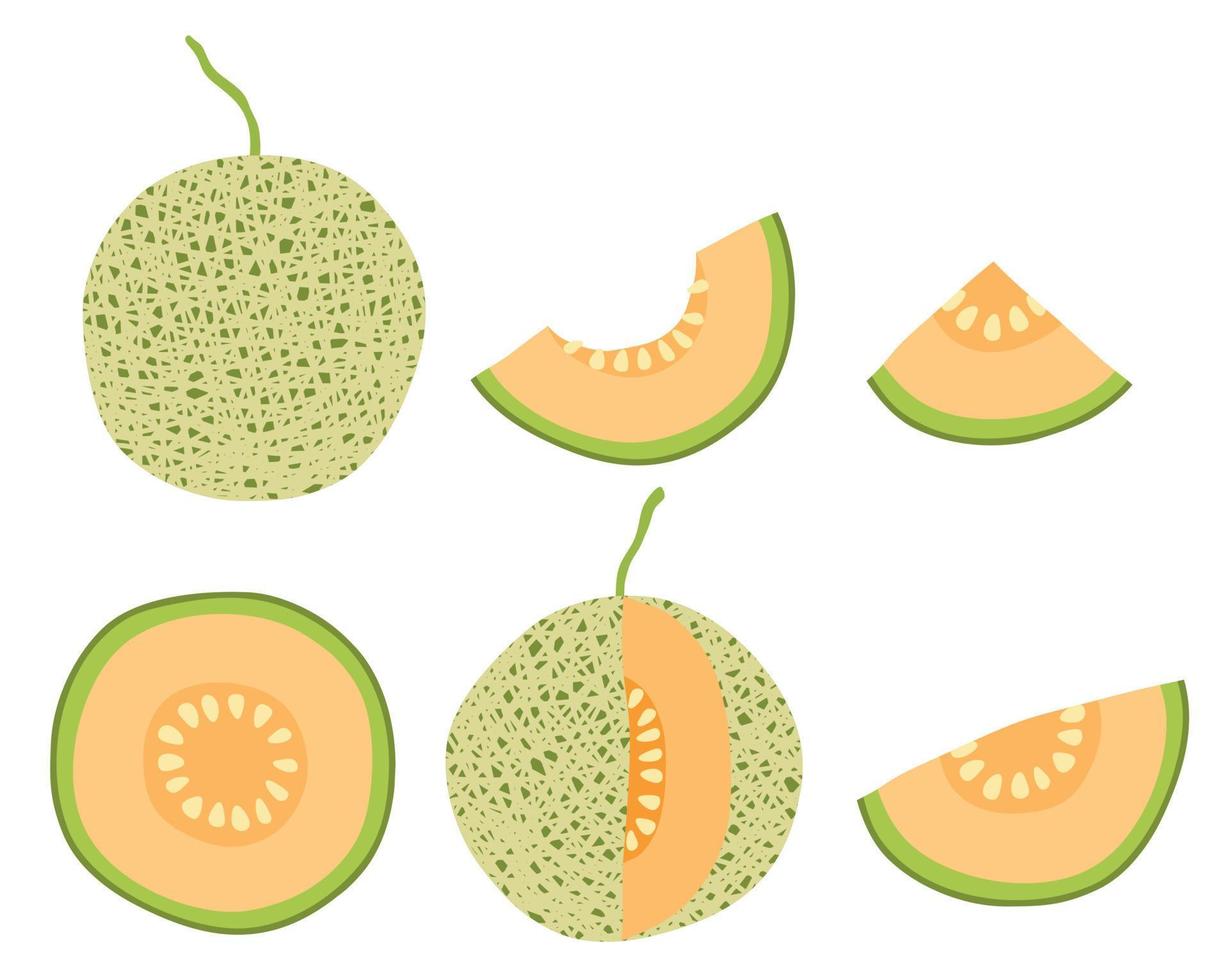 conjunto de vectores de ilustración de vector de melón fresco dibujado a mano