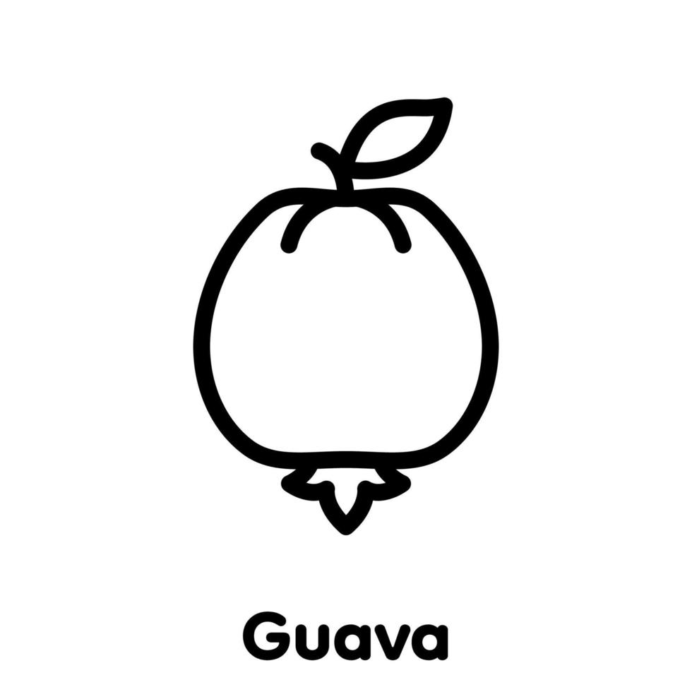 icono lineal de fruta de guayaba, vector, ilustración. vector