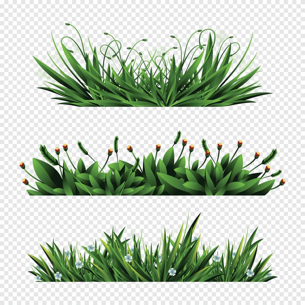 elementos de hierba verde vector