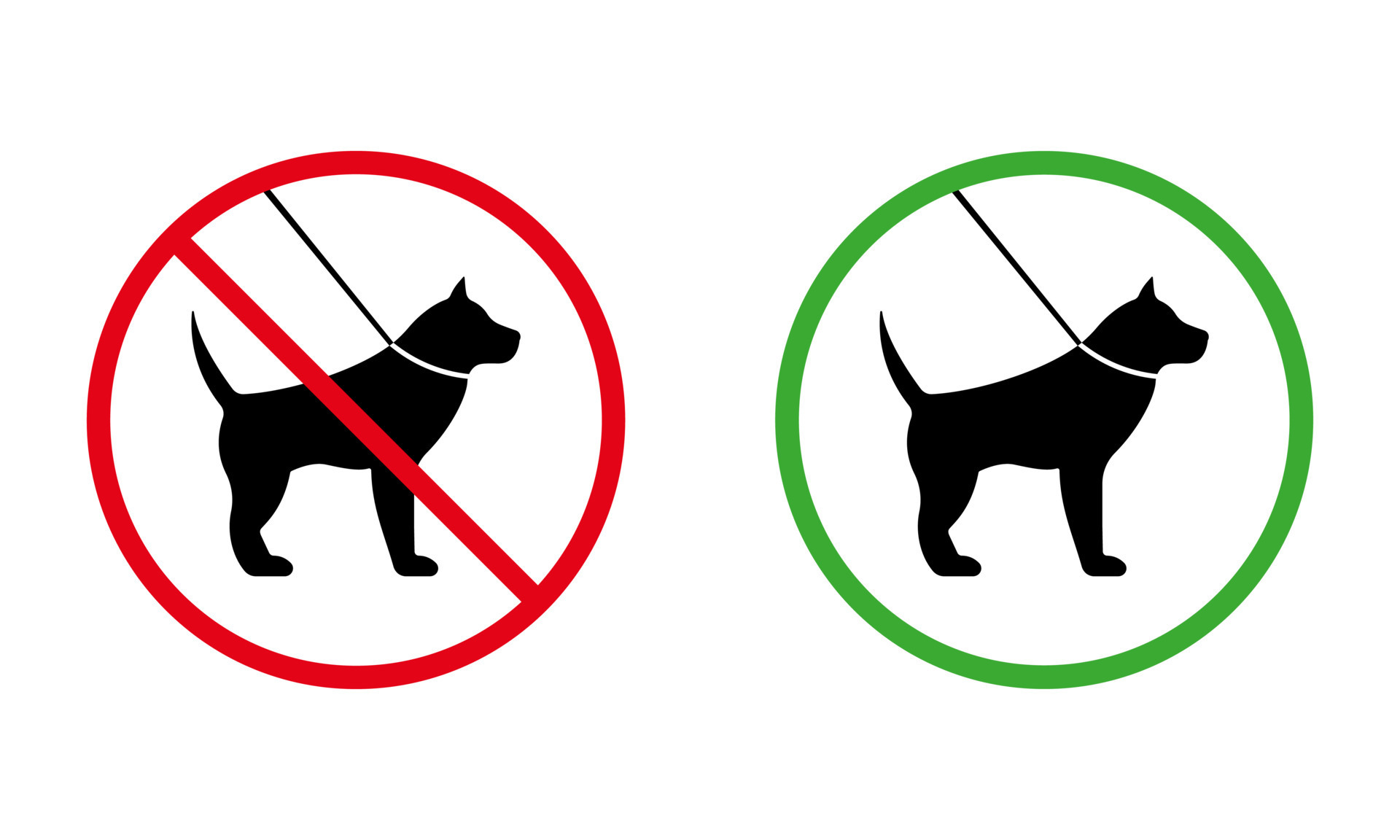 Pet on Leash Walk Zone Forbidden Pictogram. Ban Walking Dog Black