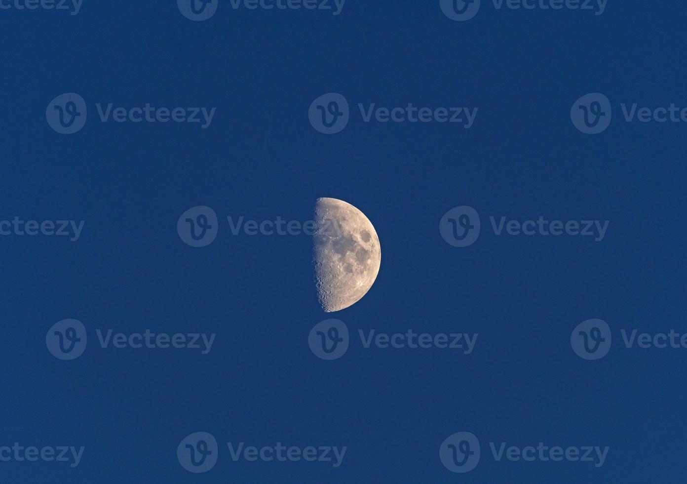 Half Moon in an Evening Sky photo