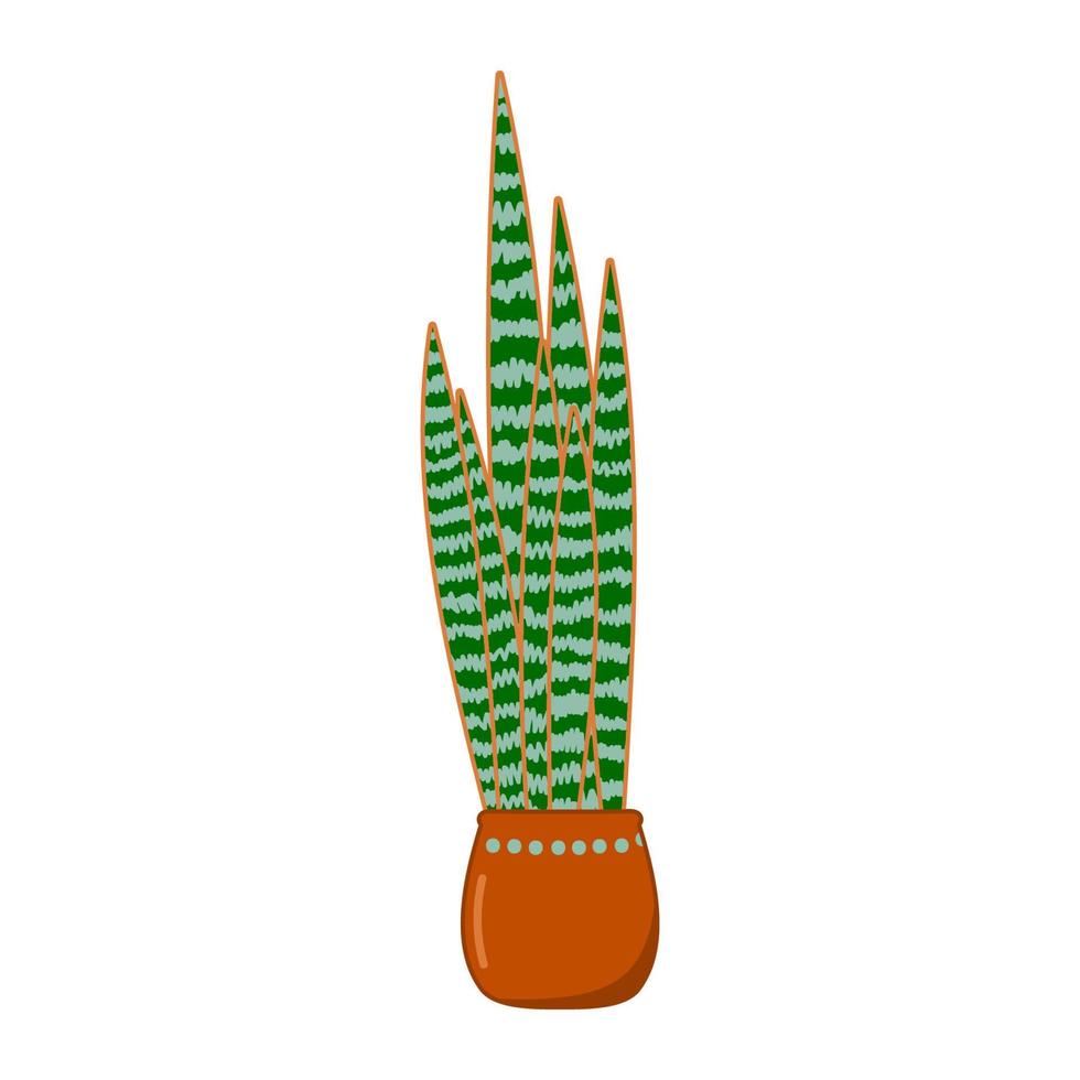 Sansevieria, trifasciata plant in pot. Hand drawn indoor and outdoor landscape garden potted plant. Urban jungle, trendy home decor with plant, tropical leaves in stylish planter vector