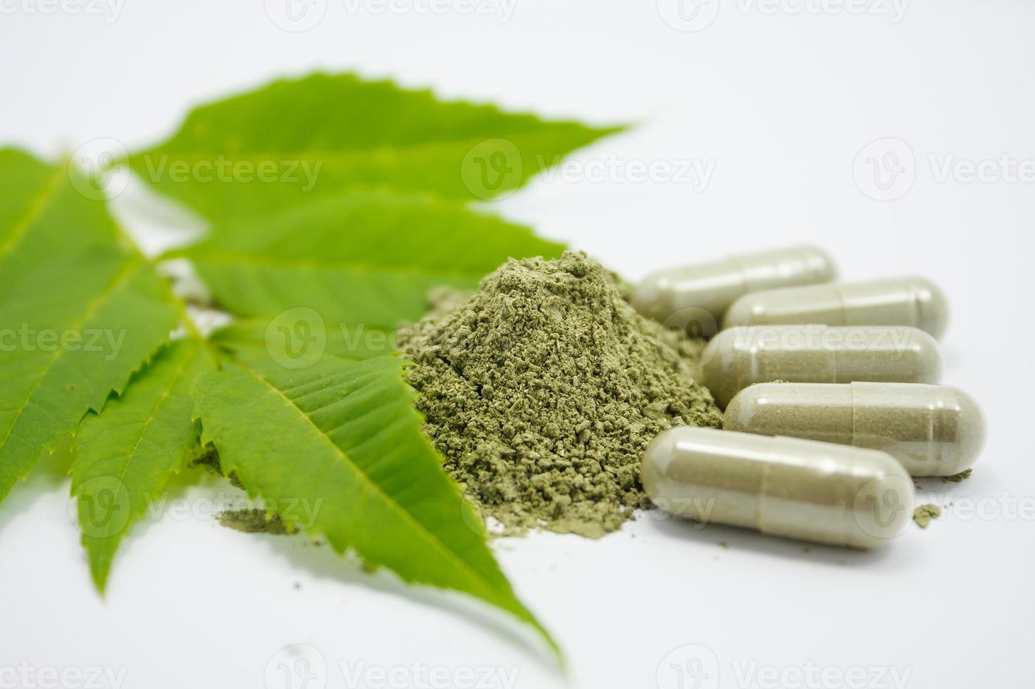 herbal medicine close up photo
