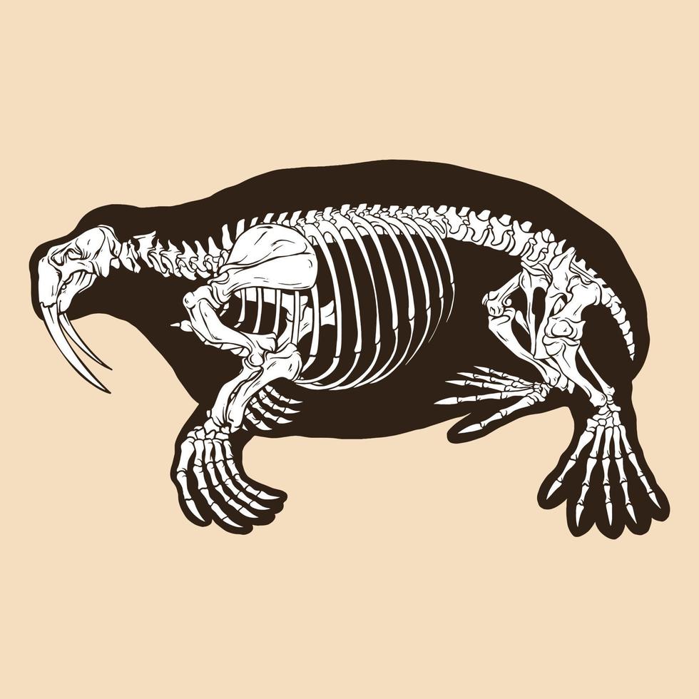 Skeleton walrus vector illustration