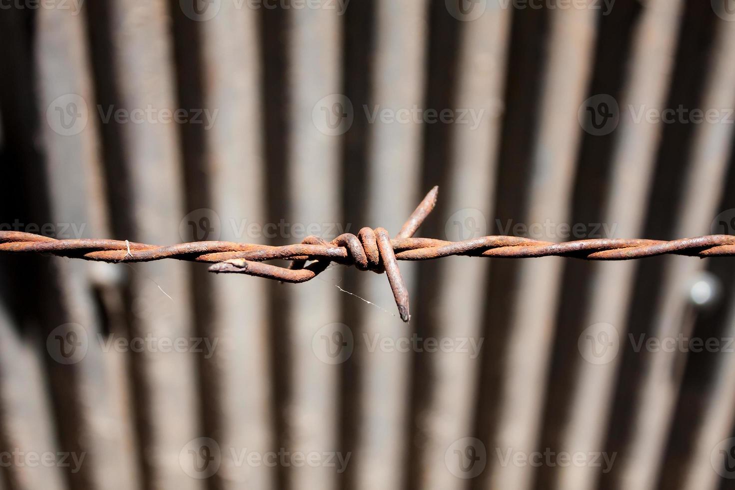 Rusty barbed wire photo