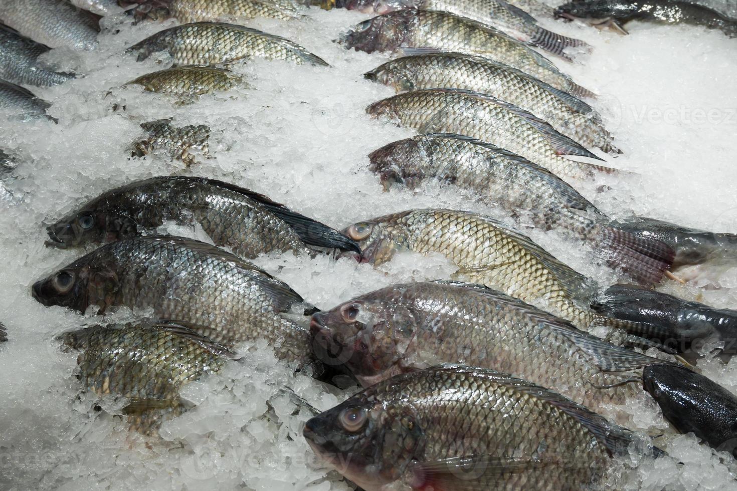 pescado fresco de tilapia en hielo en el mercado foto