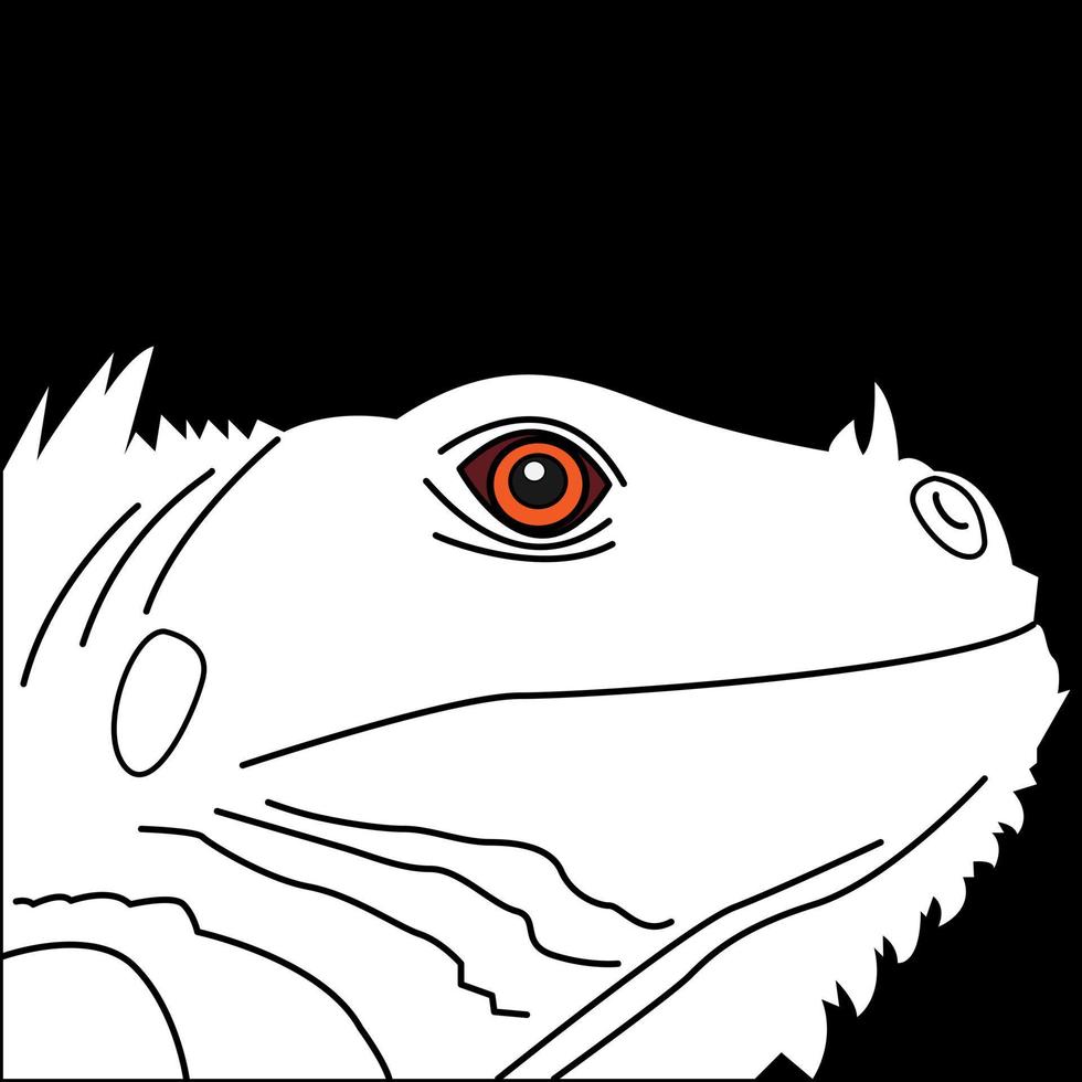 colorless plain iguana vector