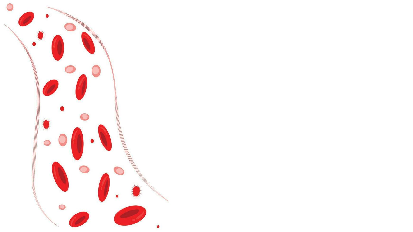 Blood Cell Background Template vector