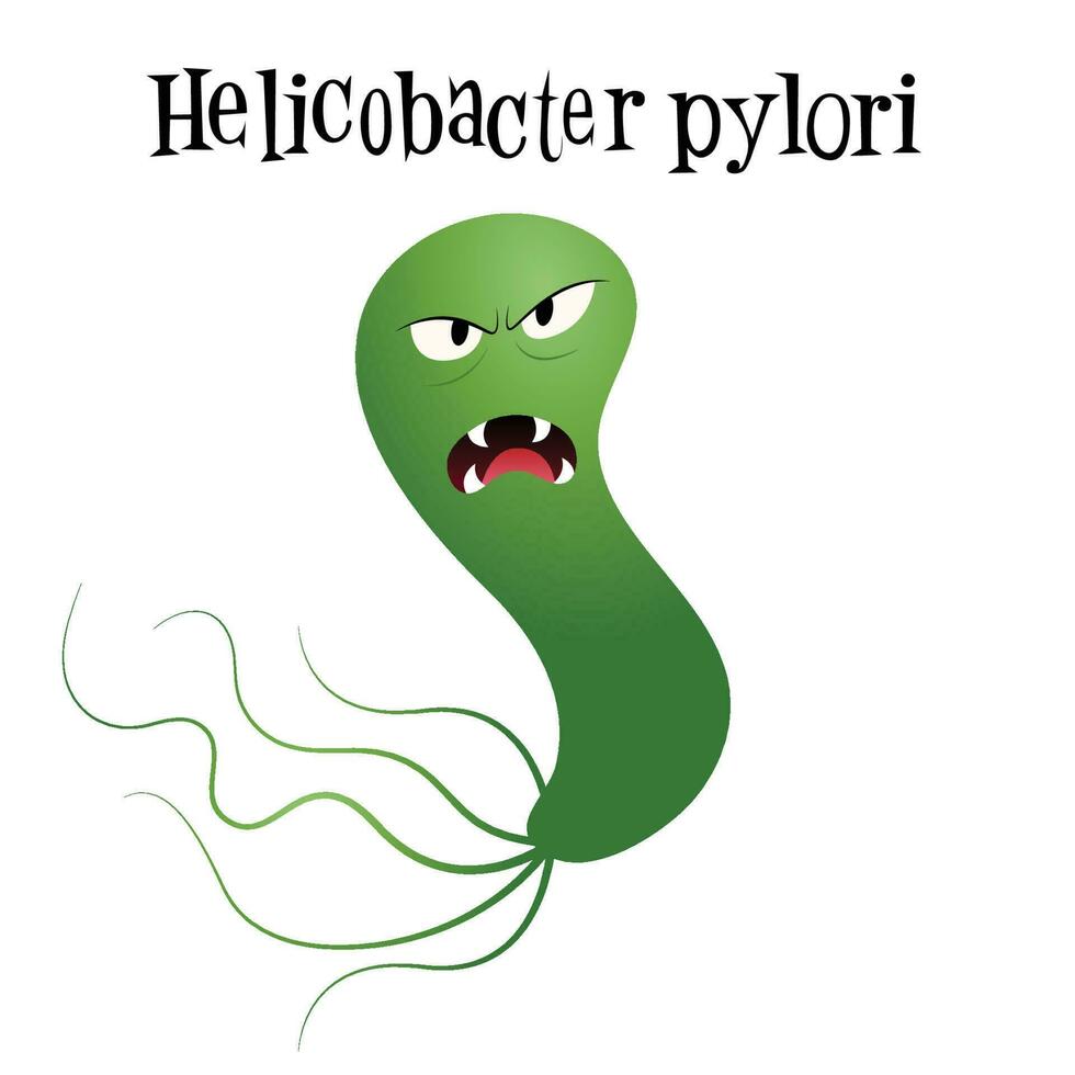 gráfico de ilustración vectorial de helicobacter pylori vector