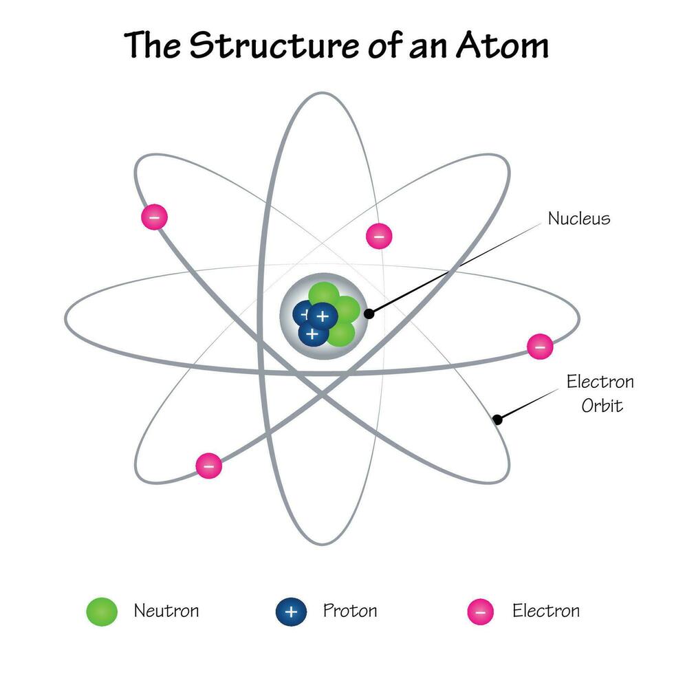 The Structure of an Atom vector