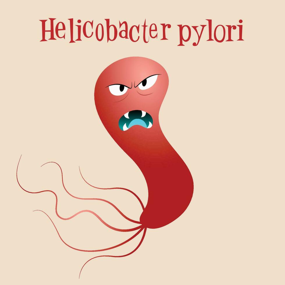 gráfico de ilustración vectorial de helicobacter pylori vector